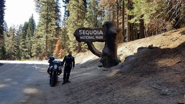 Sequoia national park.jpg