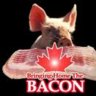 cdn_bacon