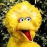 Big Bird