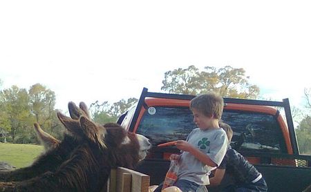 Boys feeding at Dennis's ranch.jpg