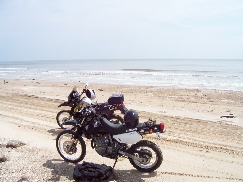 KLR n DR650.jpg