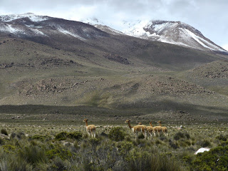 Peru%2B-%2B338.jpg