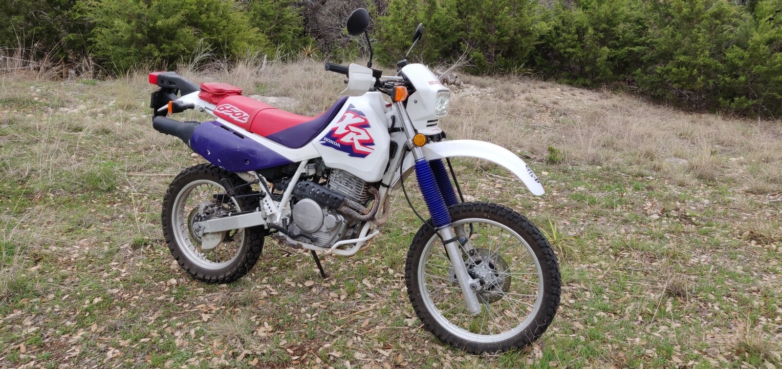 xr650l.jpg