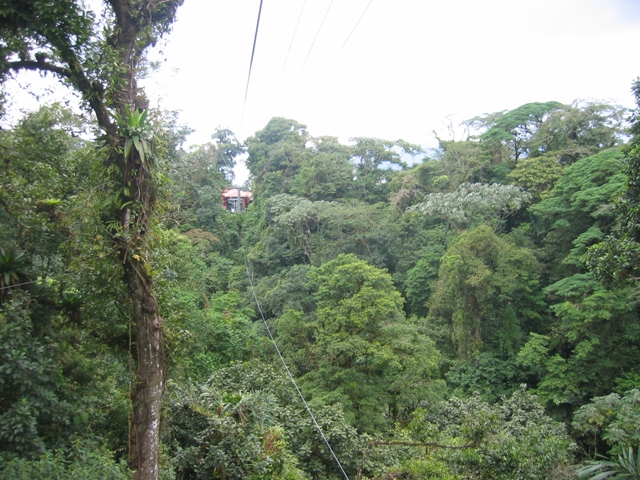 Zip_Line_0080_12_.jpg