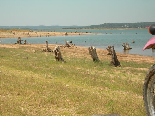 LakeBuchananstumps.jpg